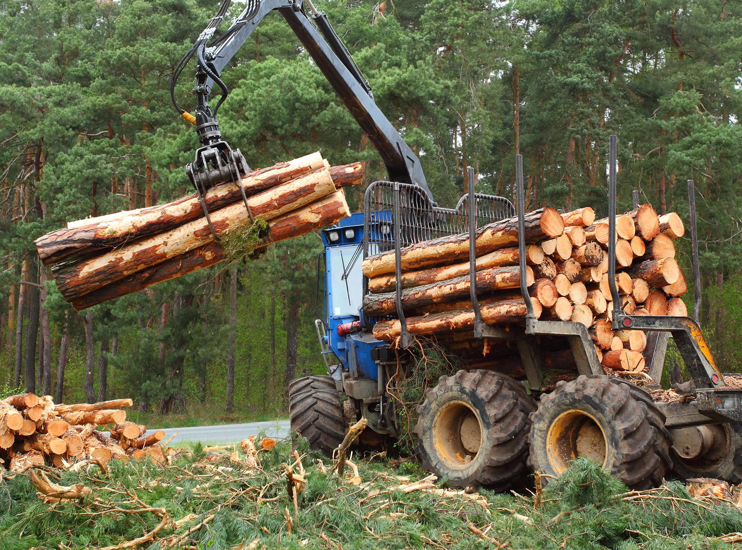 Forestry equipment with a forestry wheel system - WSD Wheel Systems